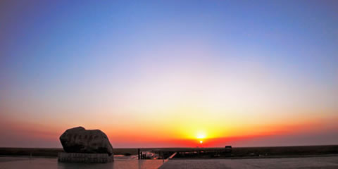 『隨華全，觀天下』 ——走進(jìn)崇明